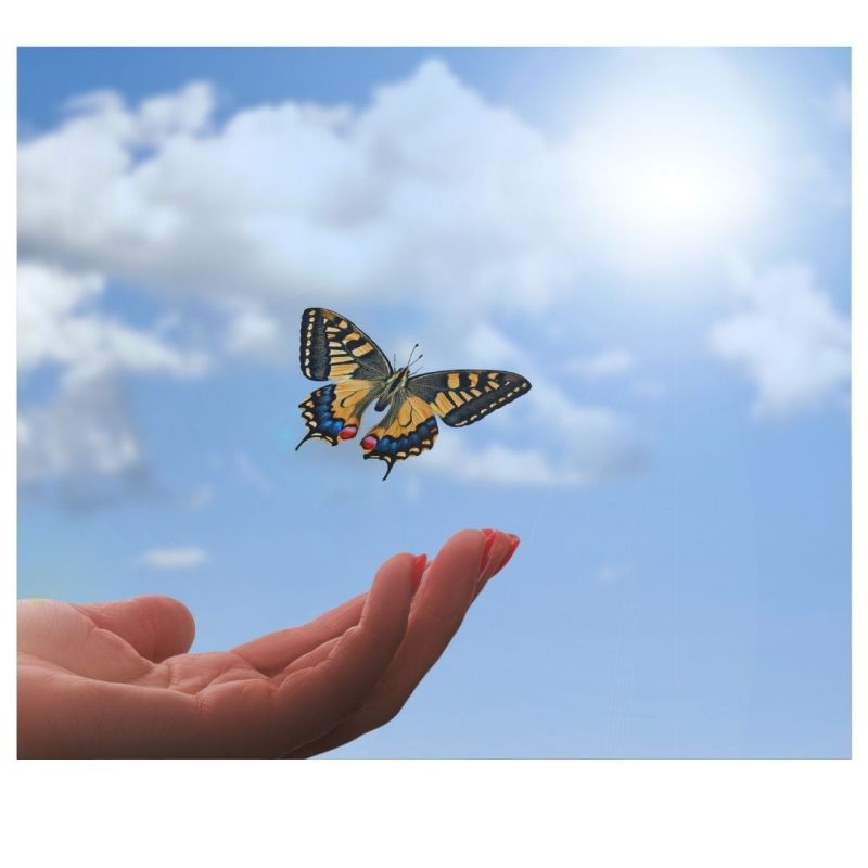 Descubre tu esencia a través de la PNL, la ciencia del&nbsp;éxito.